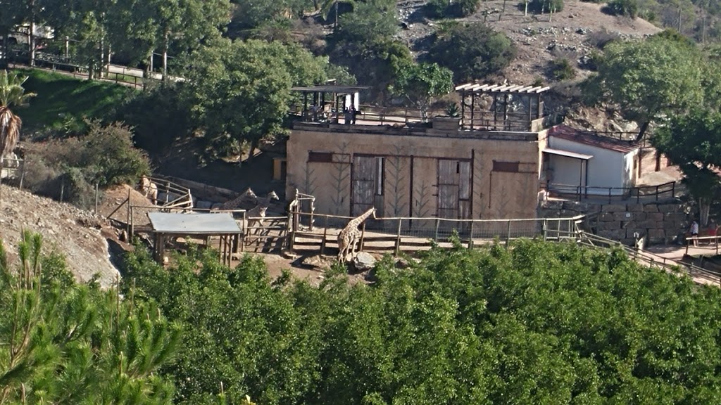 Selwo Aventura - Foto 1