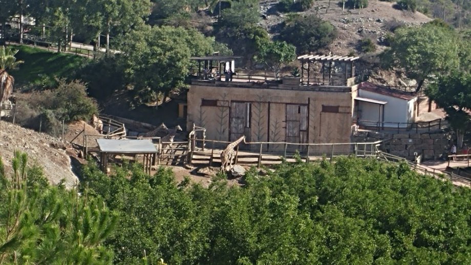 Selwo Aventura - Foto 8