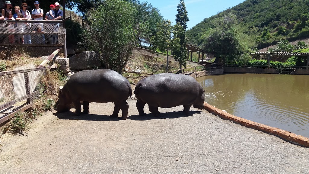 Selwo Aventura - Foto 1