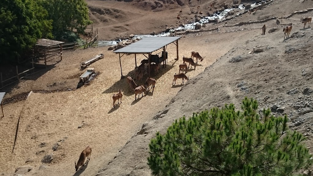 Selwo Aventura - Foto 1