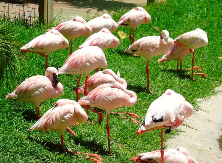 Selwo Aventura - Foto 13