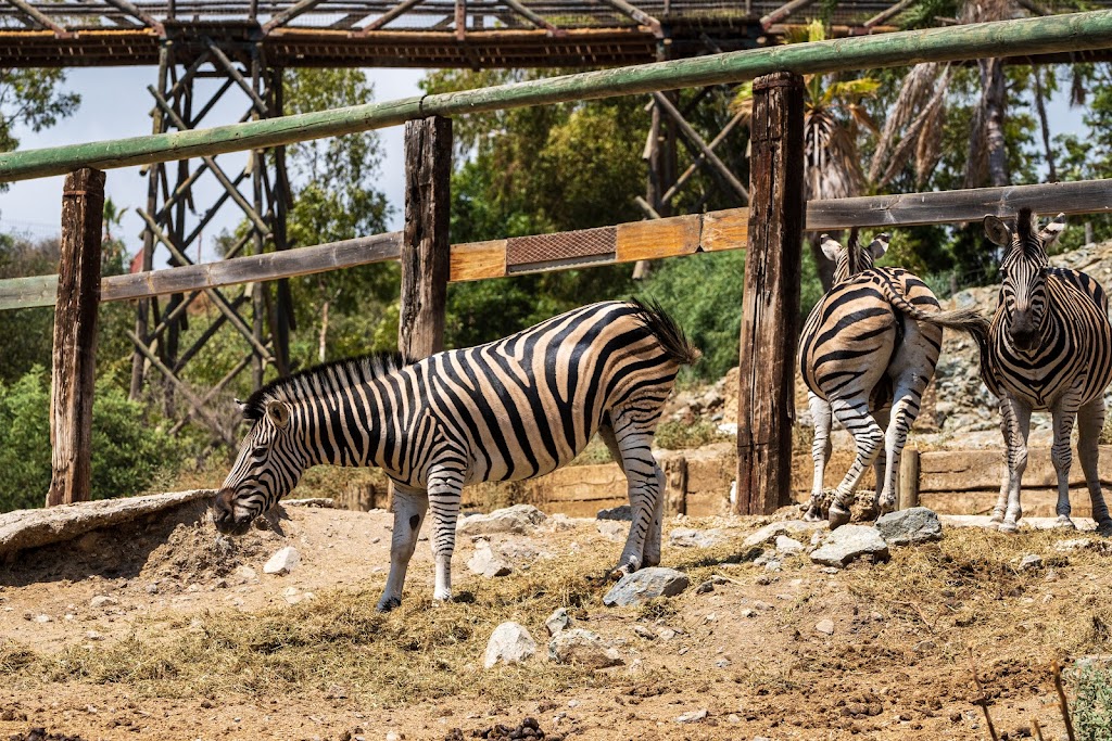 Selwo Aventura - Foto 1