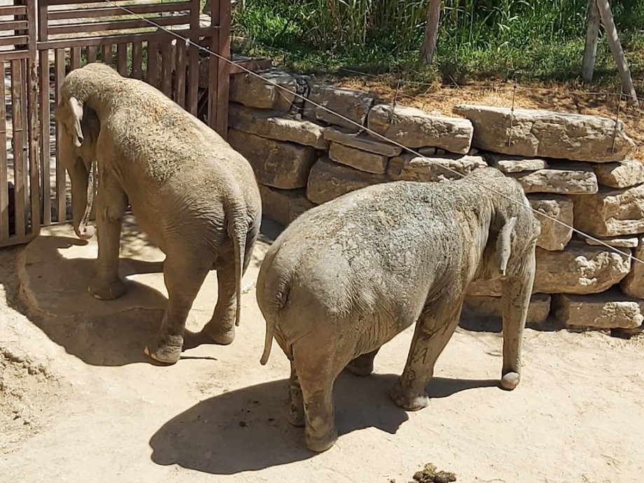 Selwo Aventura - Foto 17