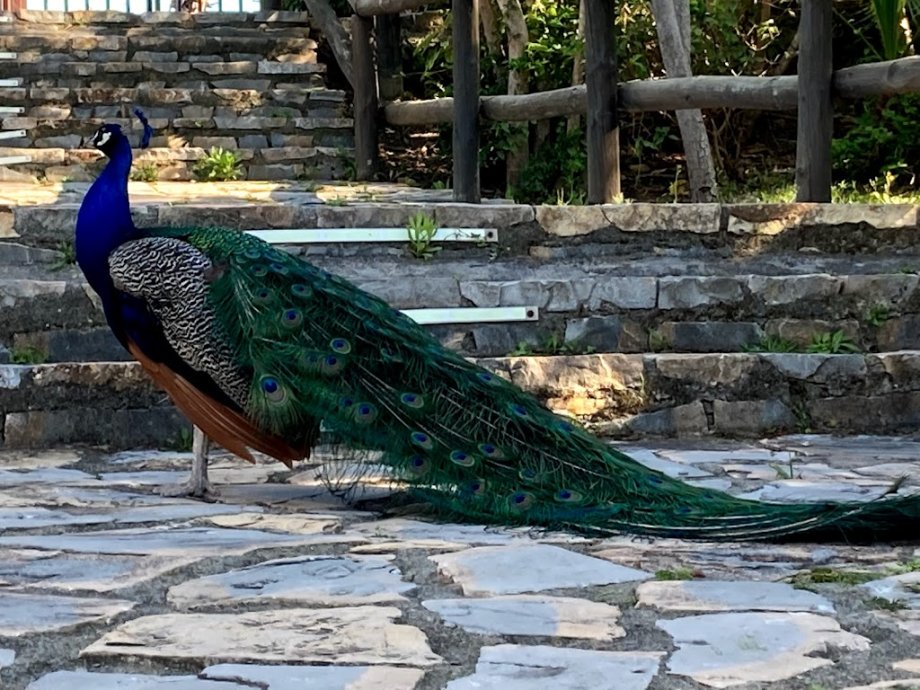 Selwo Aventura - Foto 18