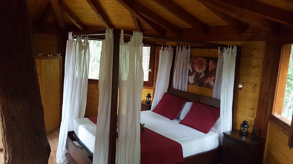 Cabanes Dosrius - Foto 1