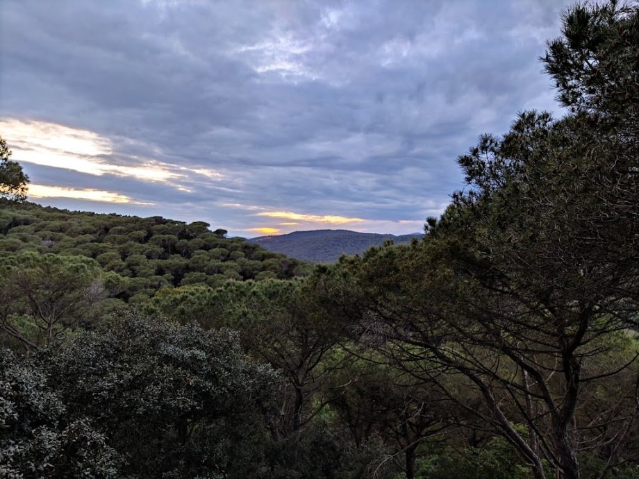 Cabanes Dosrius - Foto 16