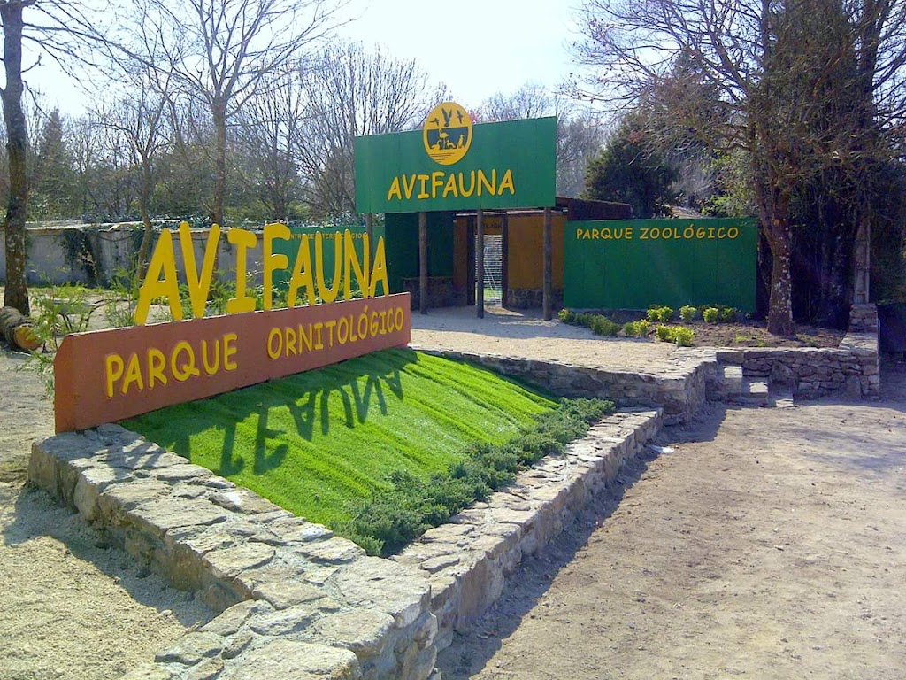 Avifauna 1