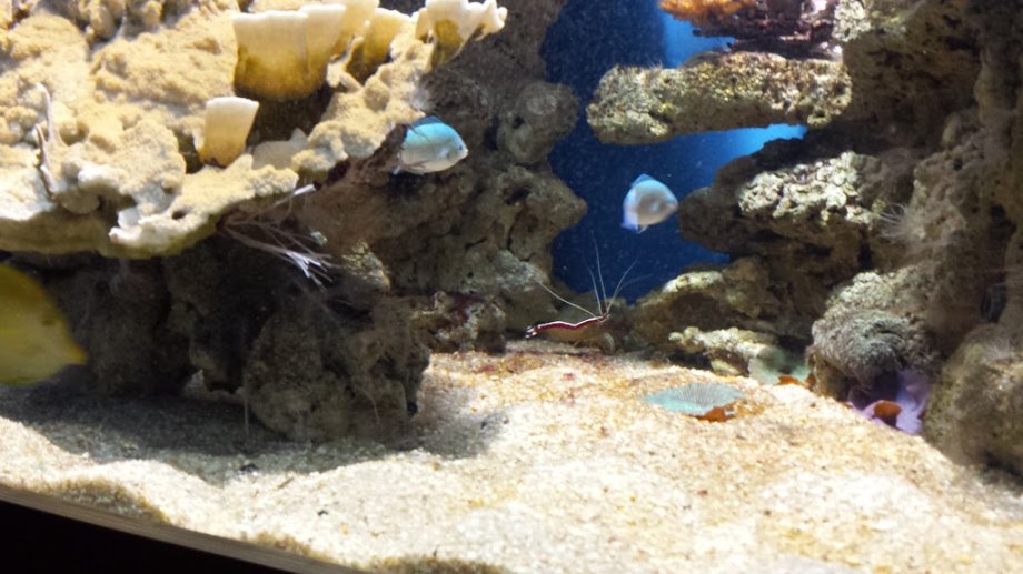 Acuario do Grove - Foto 2