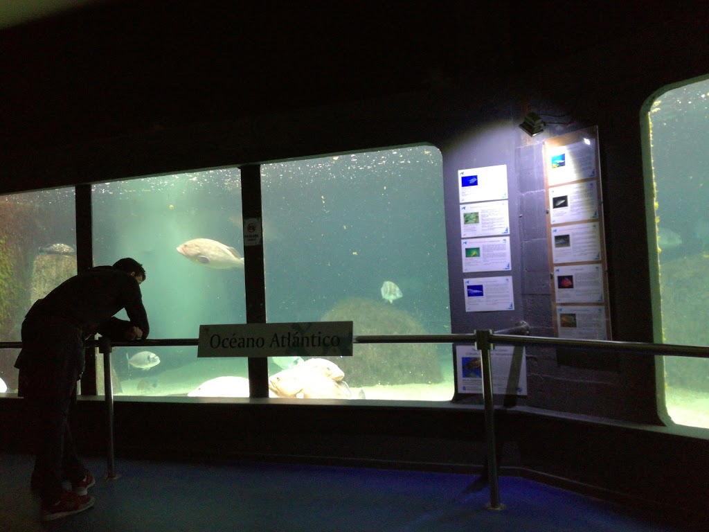 Acuario do Grove - Foto 1