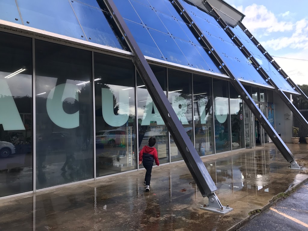 Acuario do Grove - Foto 1