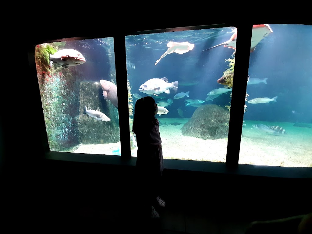 Acuario do Grove 1