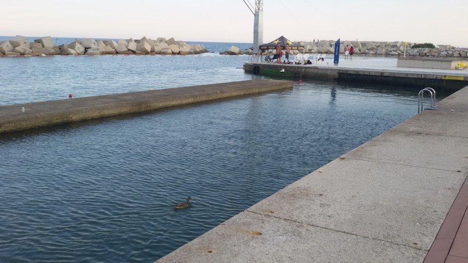 Barcelona Bosque Urbano - Foto 5