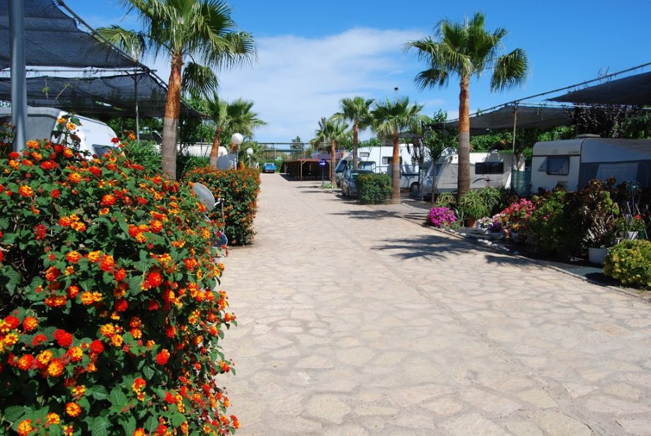 Bravoplaya Camping - Resort (antes TorreLaSal2) - Foto 5