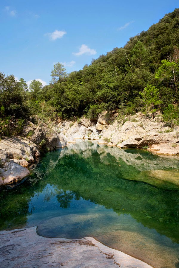 Bassegoda Park - Foto 11