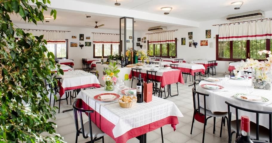 Camping El Solsonès 9