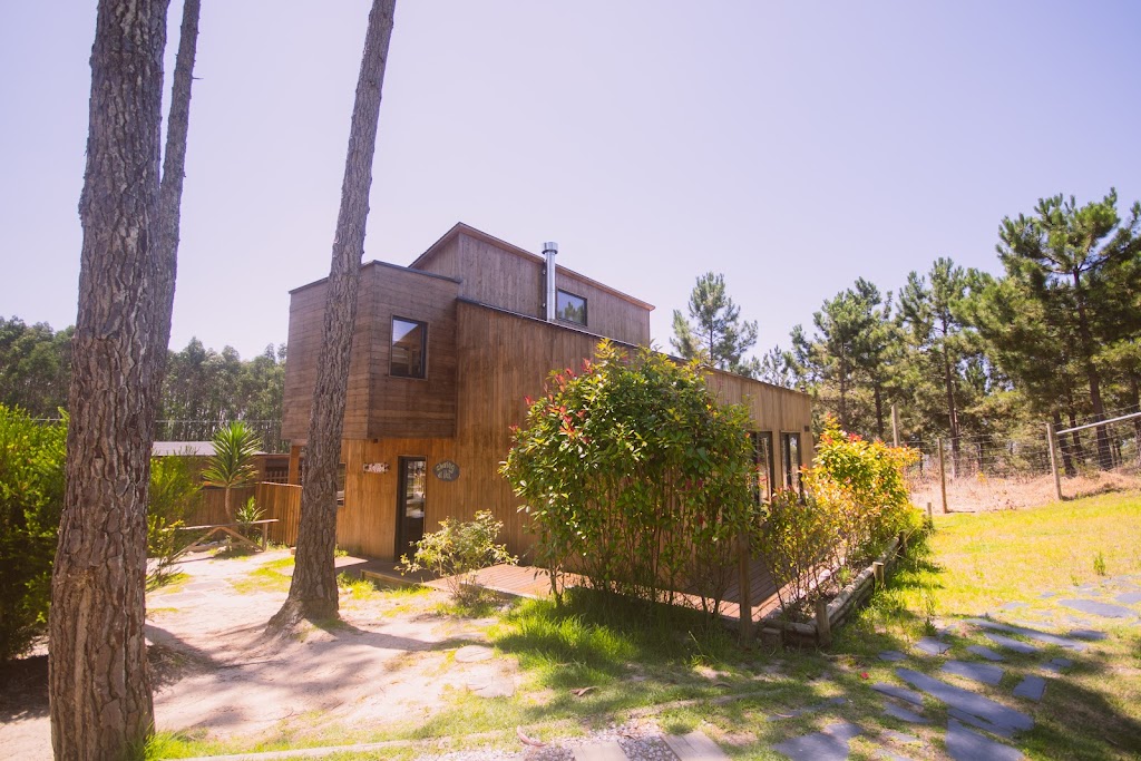 Bukubaki Eco Surf Resort 4