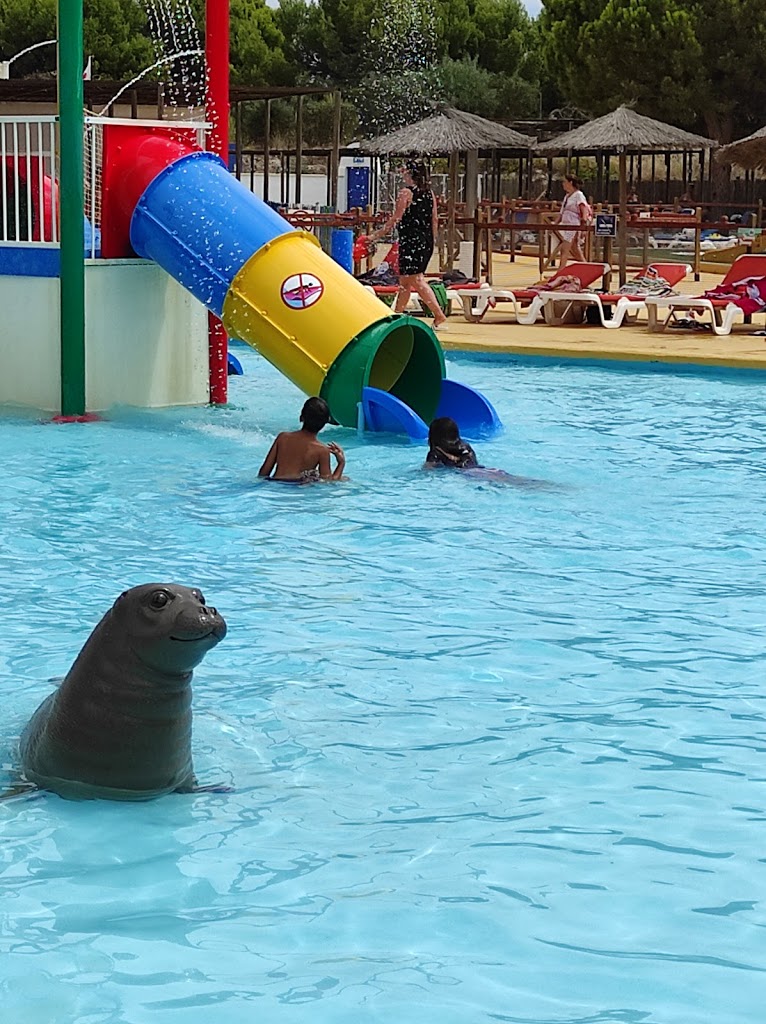 Aqua Natura Benidorm - Foto 10