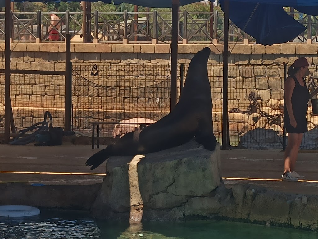 Aqua Natura Benidorm - Foto 1