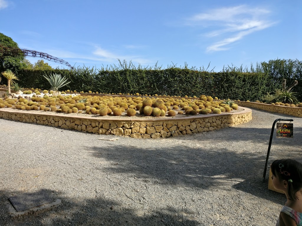 DinoPark Algar - Foto 1