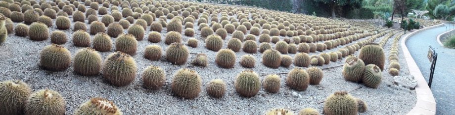 DinoPark Algar - Foto 9