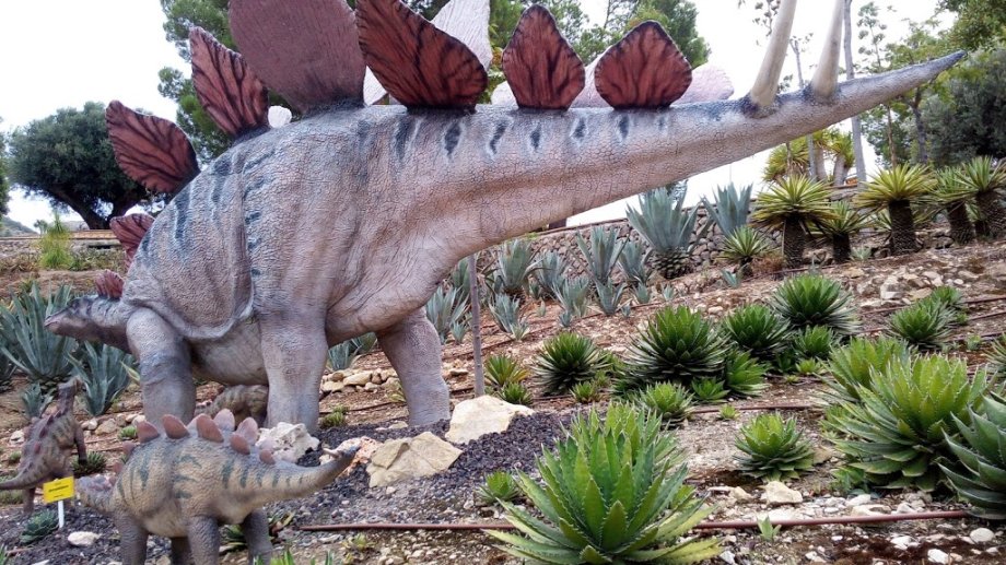 DinoPark Algar - Foto 16