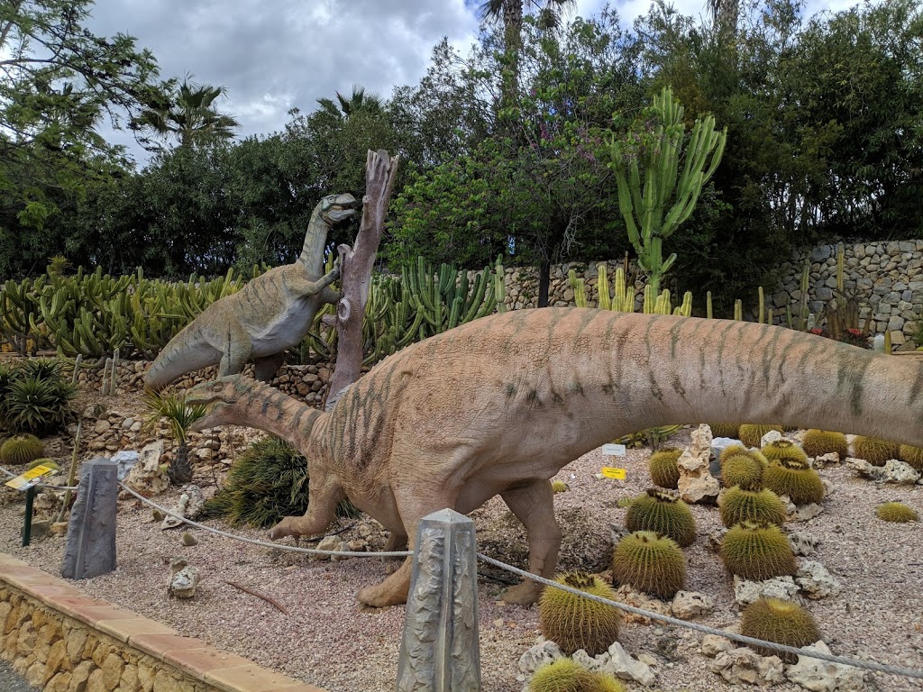 DinoPark Algar 32