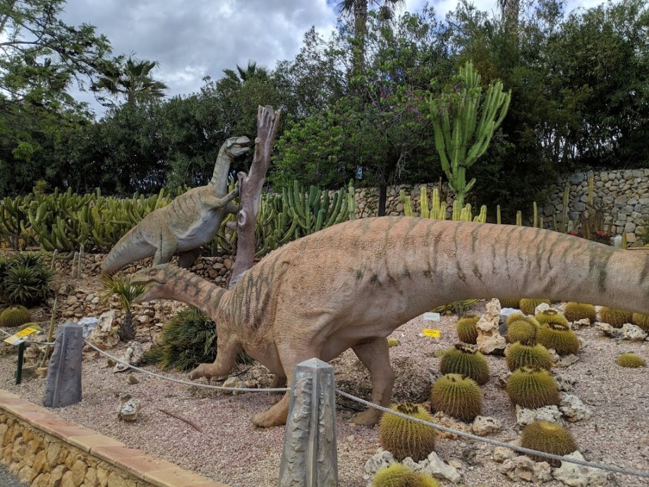 DinoPark Algar - Foto 20