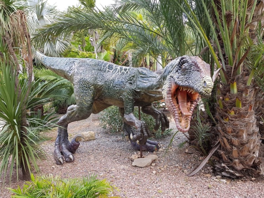 DinoPark Algar - Foto 28