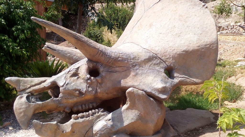 DinoPark Algar - Foto 1