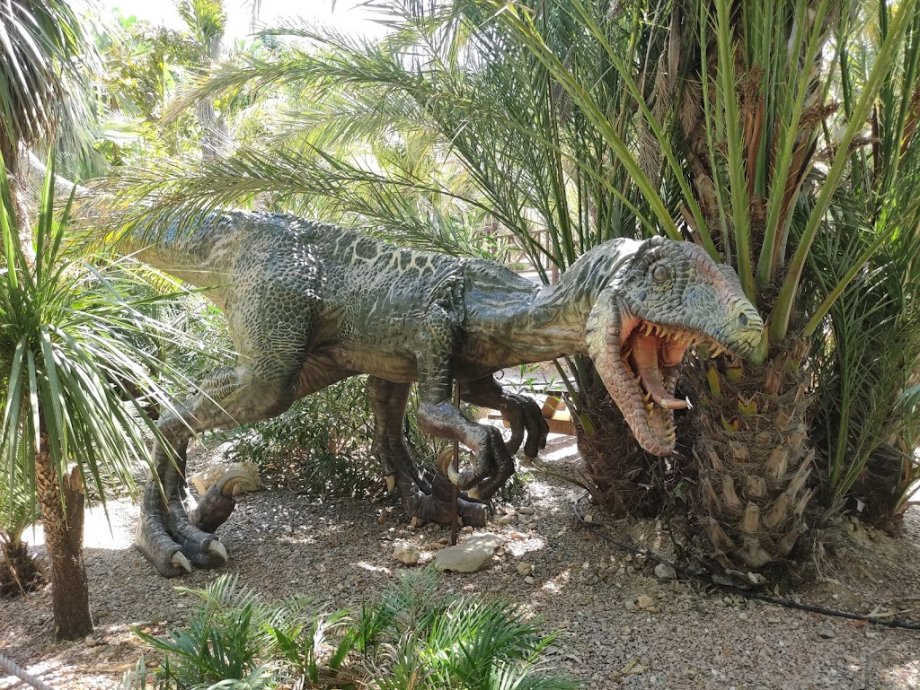 DinoPark Algar - Foto 38