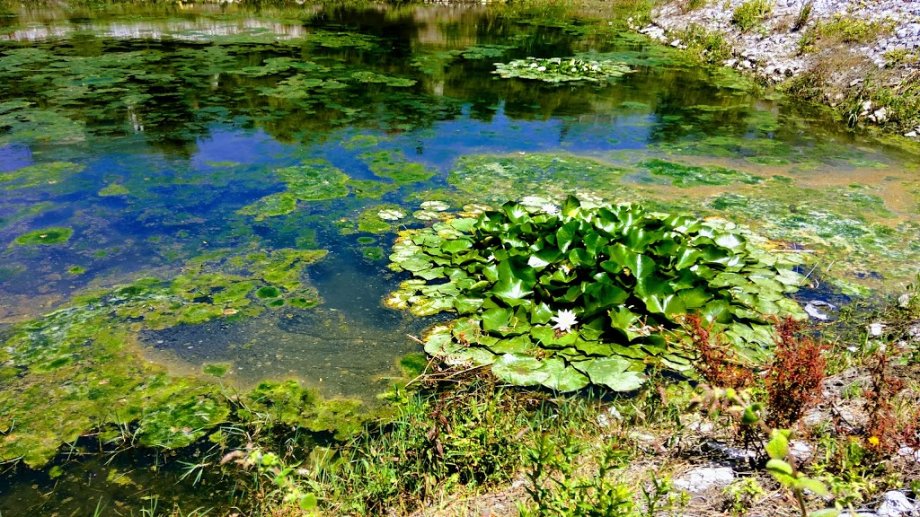 Parque Infante Dom Pedro - Parque da Cidade - Foto 5
