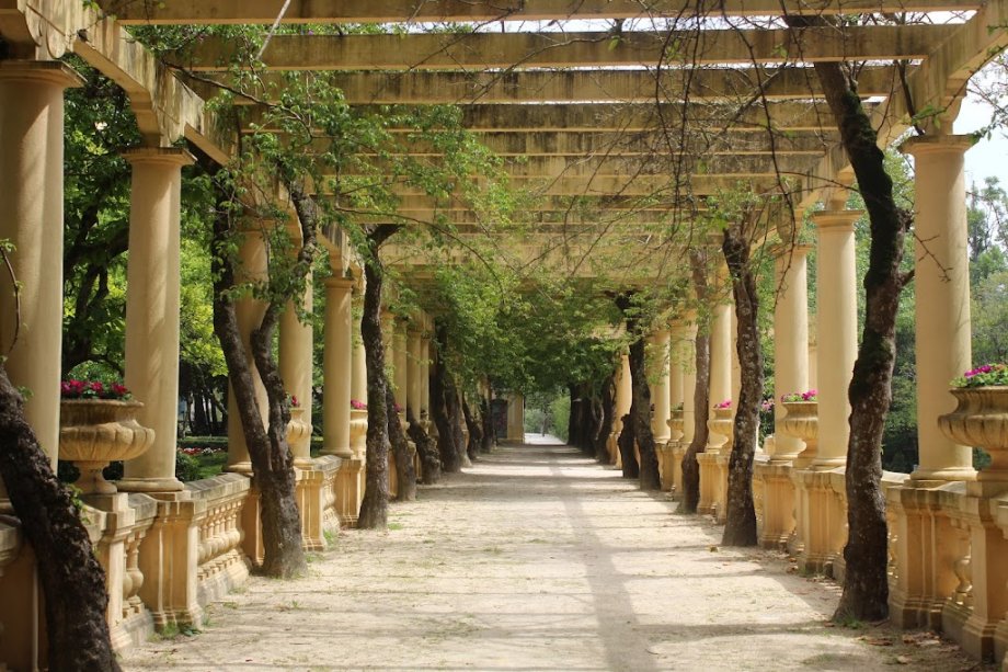 Parque Infante Dom Pedro - Parque da Cidade - Foto 11