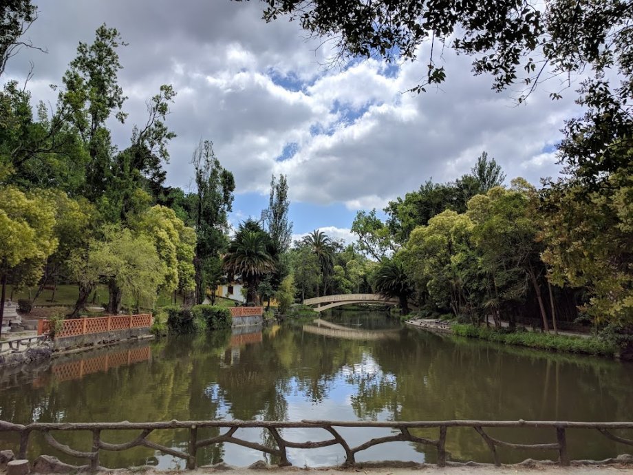 Parque Infante Dom Pedro - Parque da Cidade - Foto 16