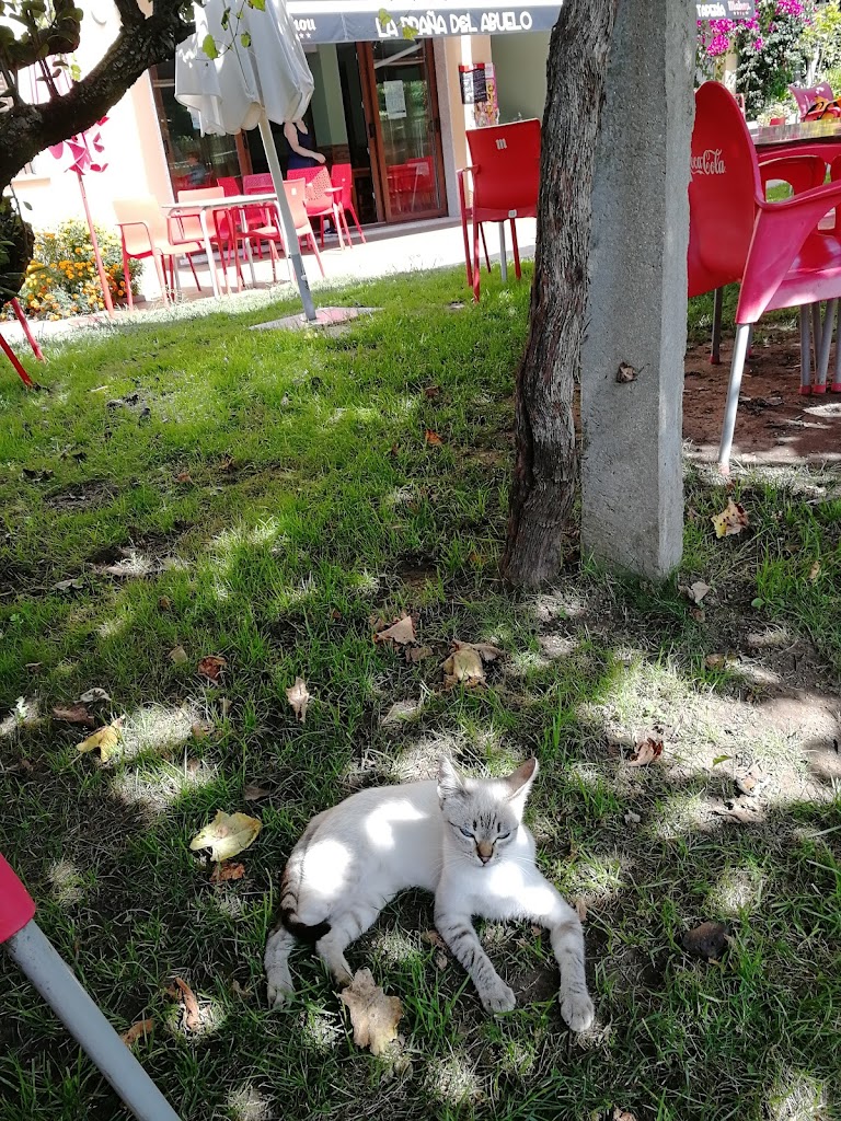 La Braña del Abuelo - Foto 1