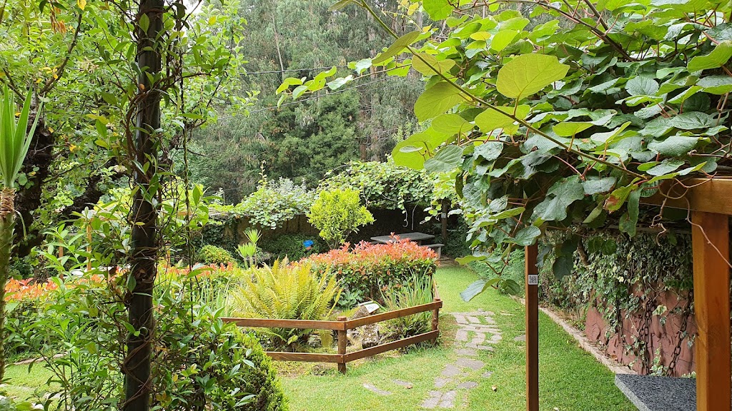 A Buraca Do Pavero 6