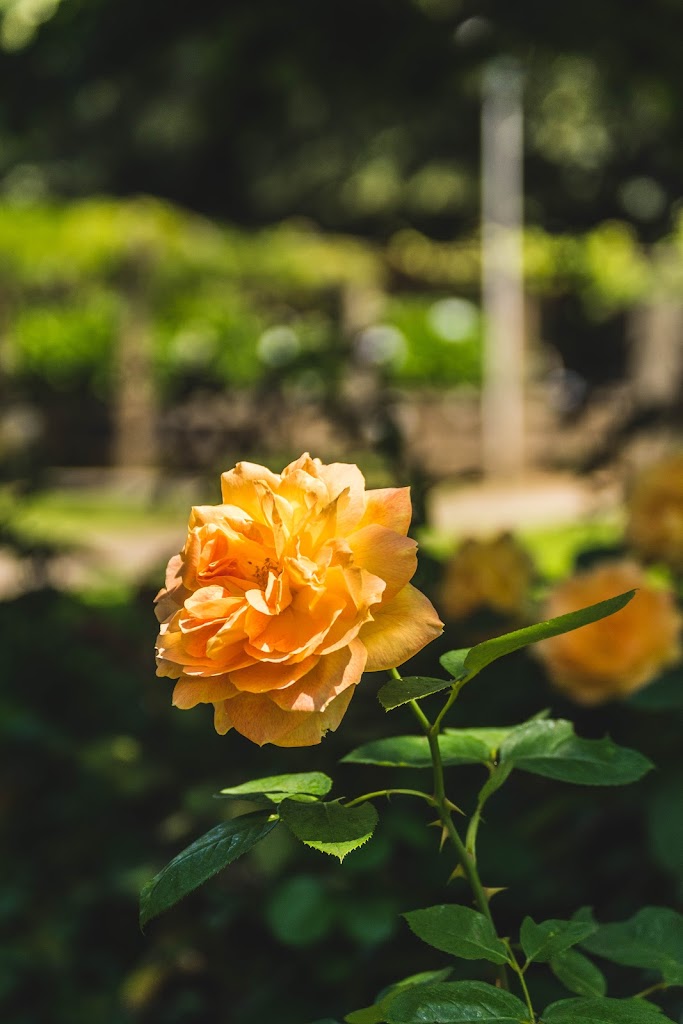 Parque do Arnado - Foto 12