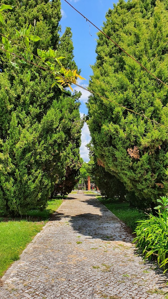 Parque do Arnado - Foto 1