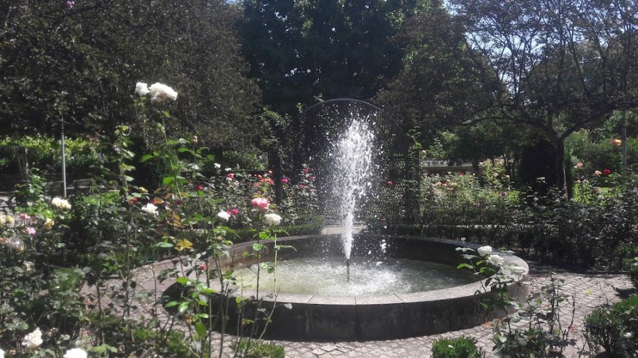 Parque do Arnado - Foto 16