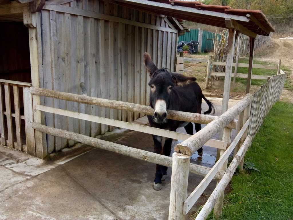 Parque dos Monges 12