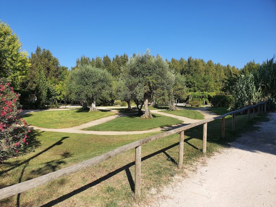 Parque dos Monges - Foto 15