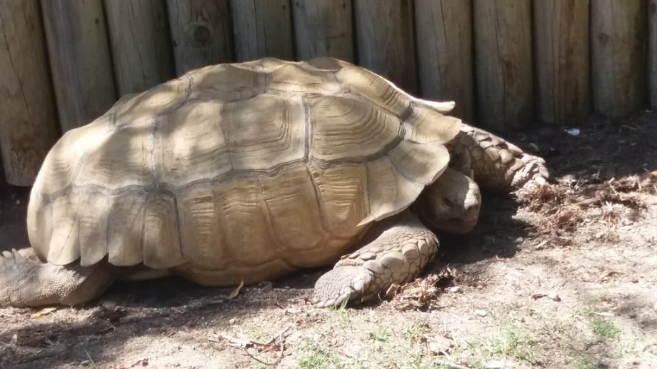 Parque dos Monges - Foto 18