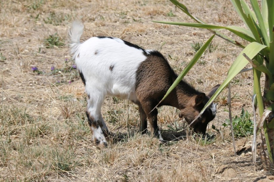 Parque dos Monges - Foto 26