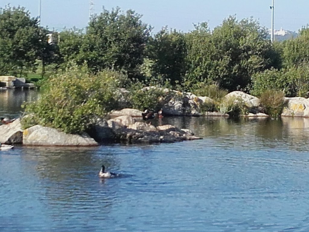 Parque da Cidade da Póvoa de Varzim - Foto 1