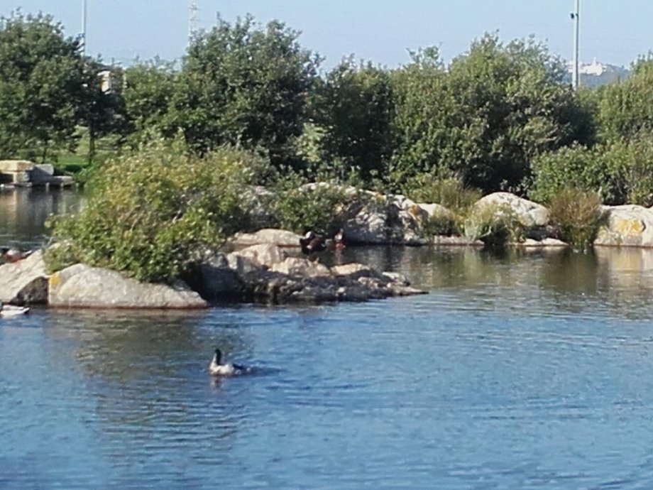 Parque da Cidade da Póvoa de Varzim - Foto 2