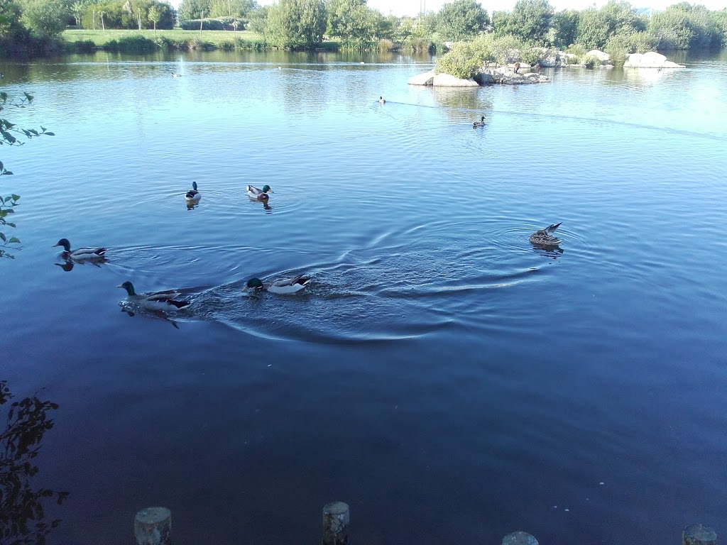 Parque da Cidade da Póvoa de Varzim 14