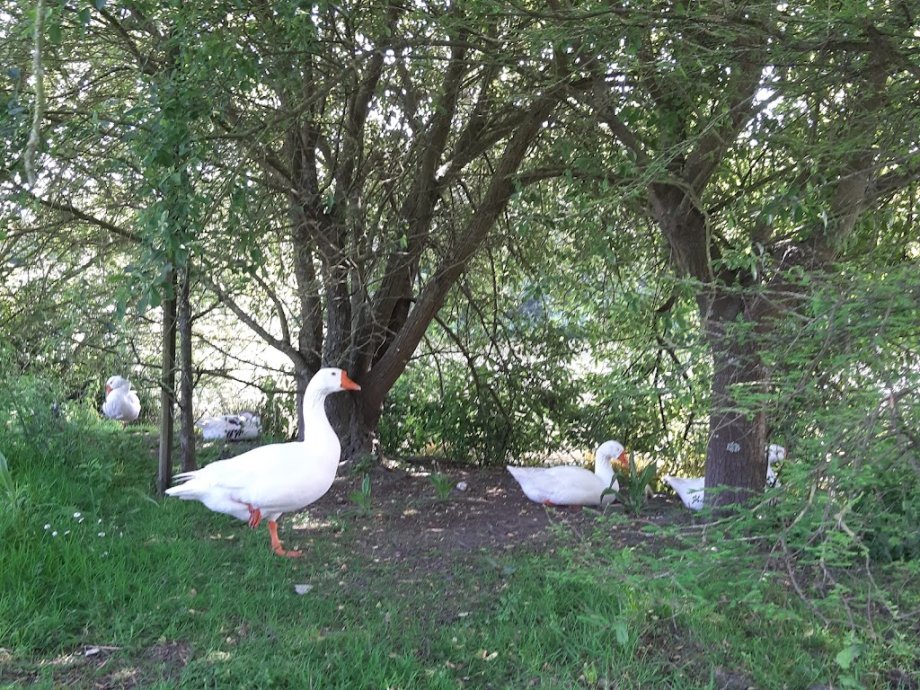Parque da Cidade da Póvoa de Varzim - Foto 7