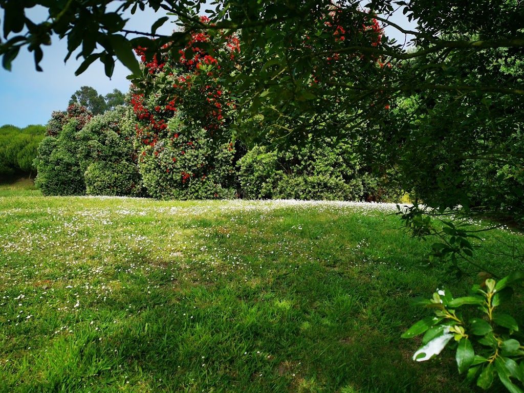 Parque da Cidade da Póvoa de Varzim 2
