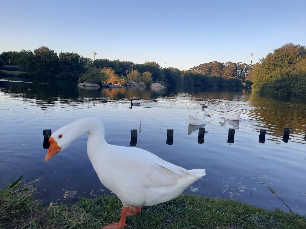 Parque da Cidade da Póvoa de Varzim - Foto 1