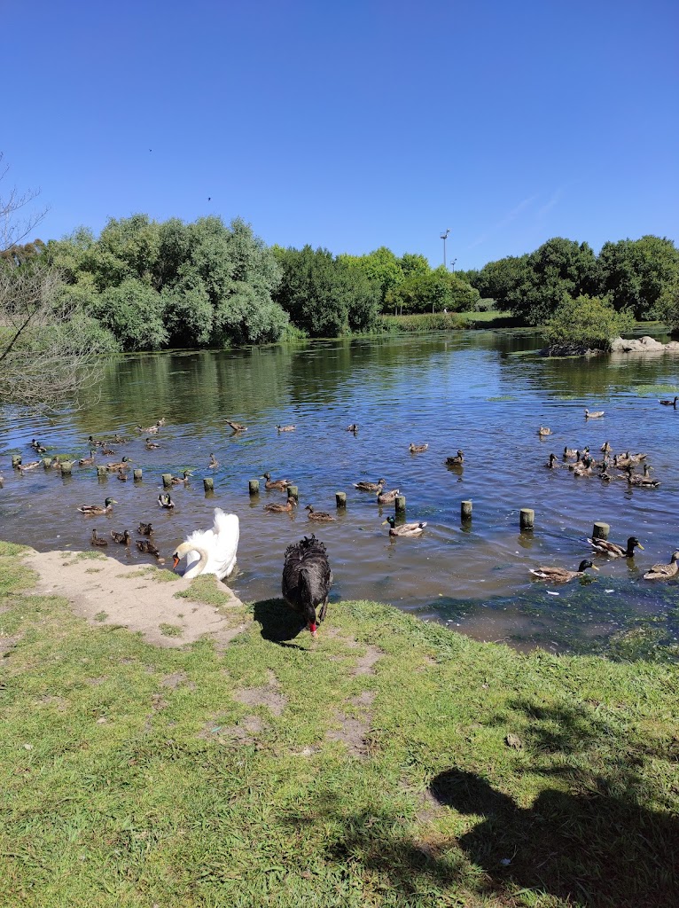 Parque da Cidade da Póvoa de Varzim 4