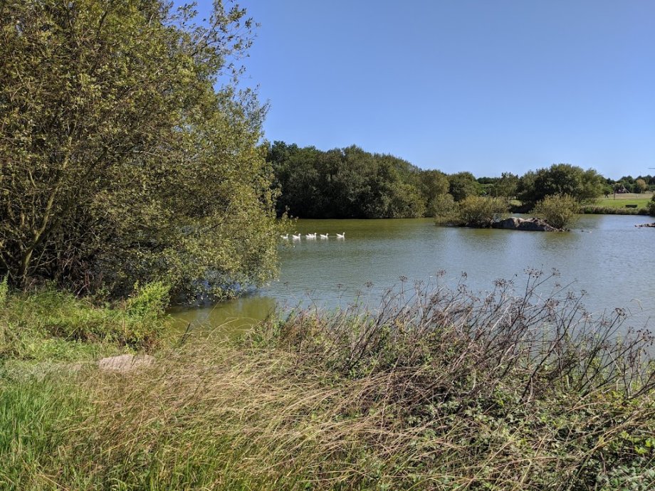 Parque da Cidade da Póvoa de Varzim - Foto 14
